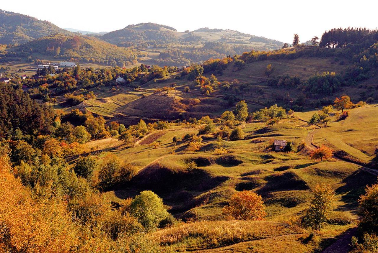Hostel Skautsky Dom Banská Štiavnica Dış mekan fotoğraf